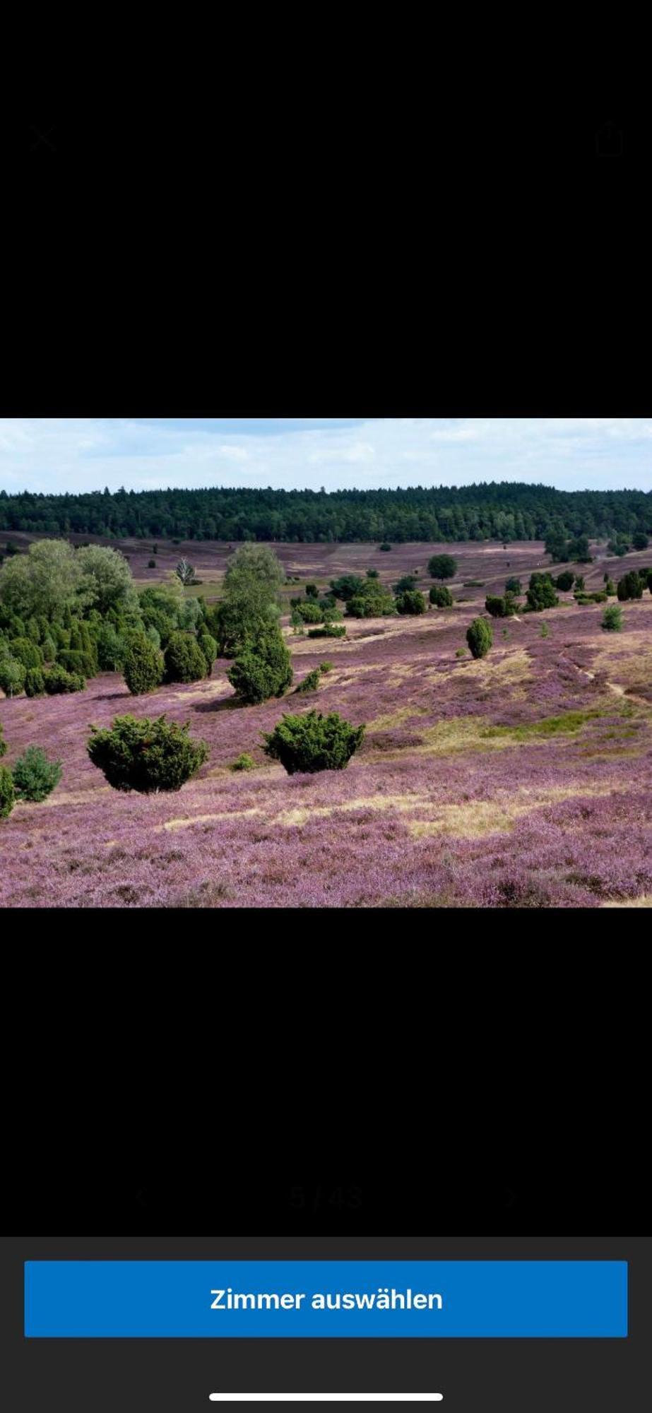 Landhotel Vessens Hoff Buchholz in der Nordheide Exteriér fotografie